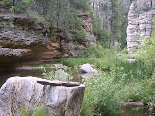 Happy Jack Cabin Fun Spots Near The Happy Jack Arizona Cabin