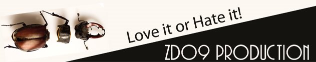 zdo9 Production Francois Boutemy Love it or Hate it