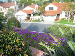 2010 - California