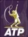 [atp.php]