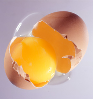 [egg.jpg]