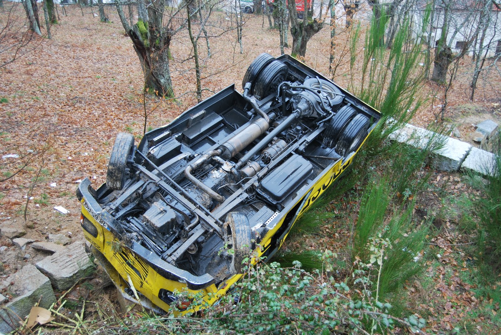 [DSC_0001.JPG]