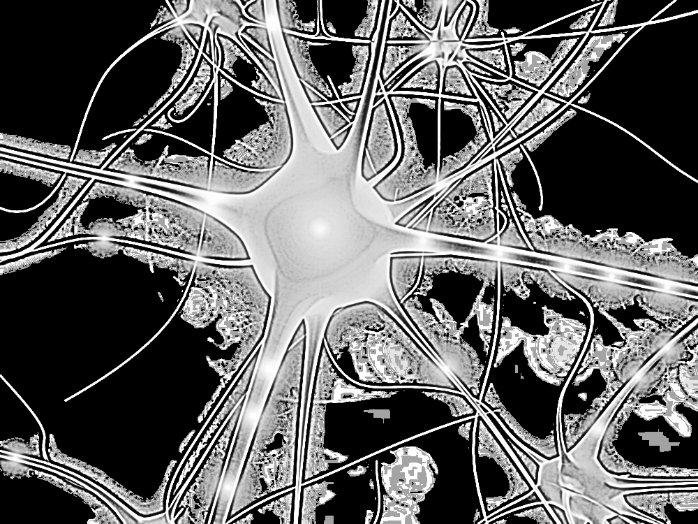 What are the side effects of taking adderall and hydrocodone at.