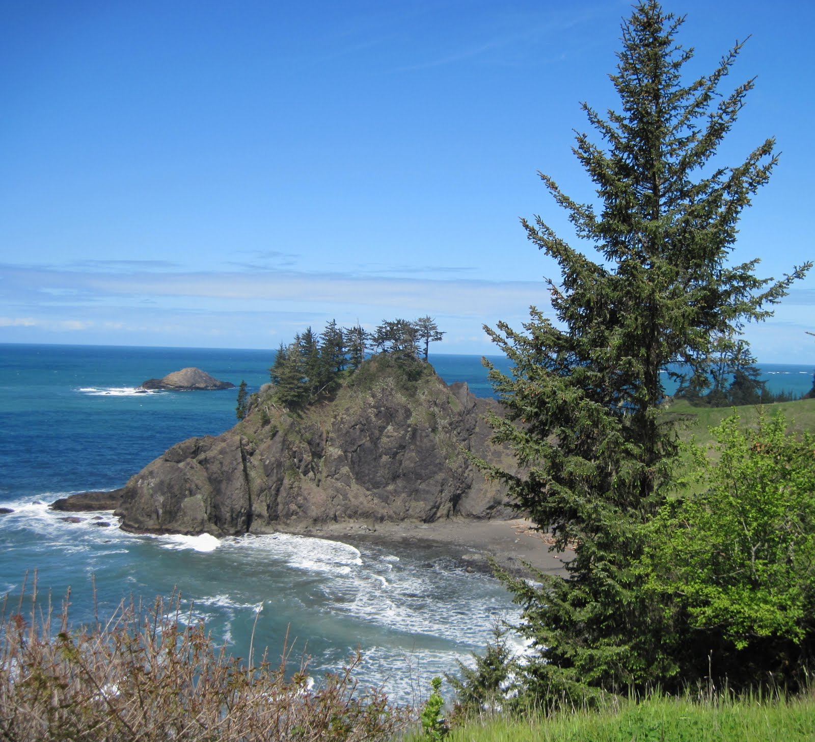 Along The Side Roads The Southern Oregon Coast