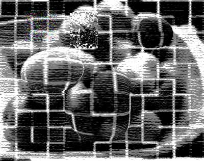 [noticia_4875_normal.jpg]