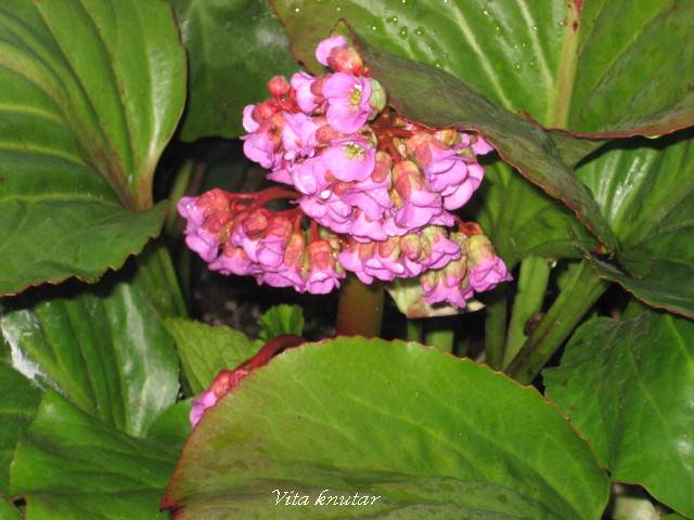 [IMG_4362.JPG]