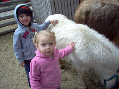 Baby Animal Days 2008