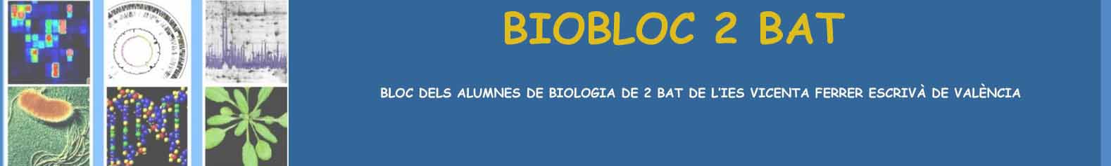 BIOBLOC 2 BAT