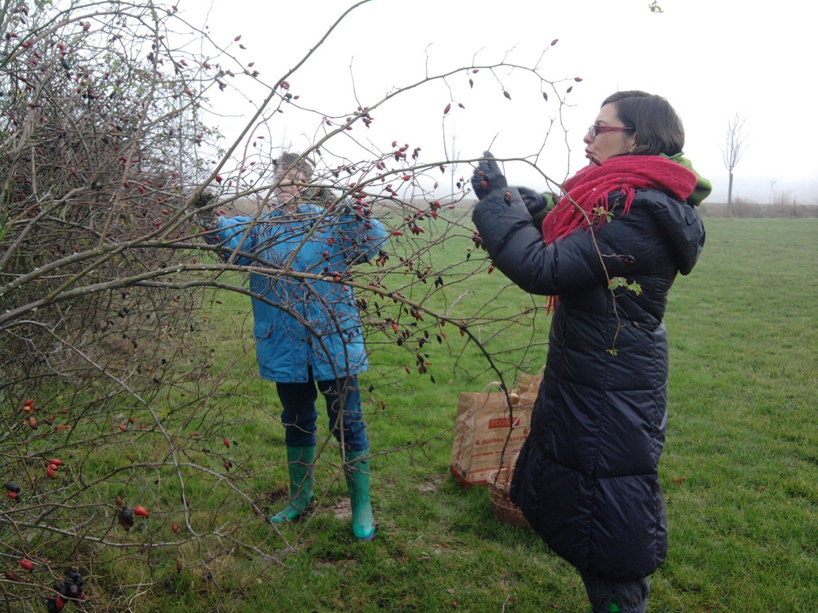 site de rencontre gout