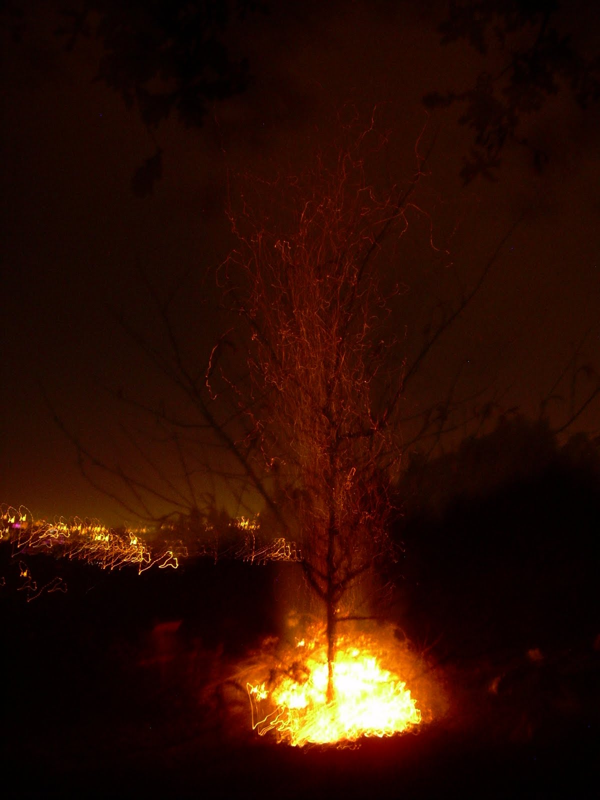 [12+tree+on+fire.JPG]