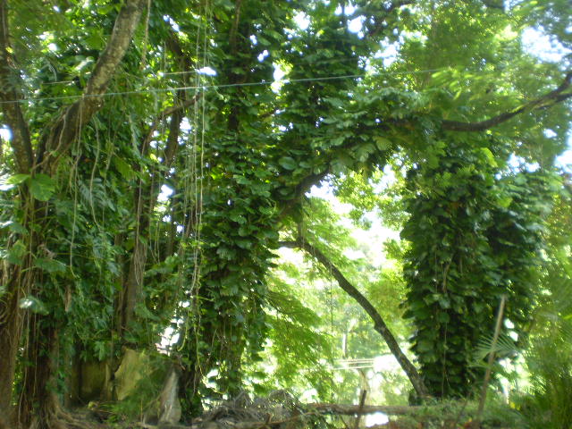 [P7200064.JPG]