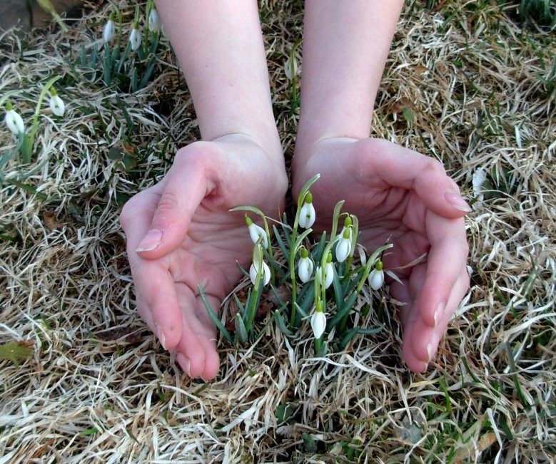 A handful of Spring