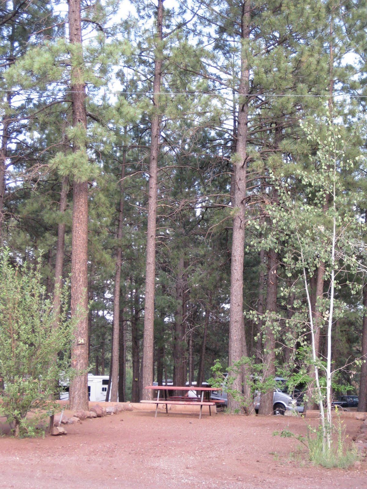 CampgroundCrazy Woody Mountain Campground & RV Park, Flagstaff, Arizona