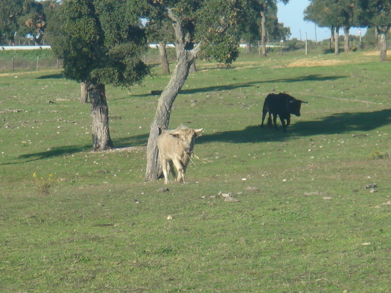 [DSC07604.JPG]