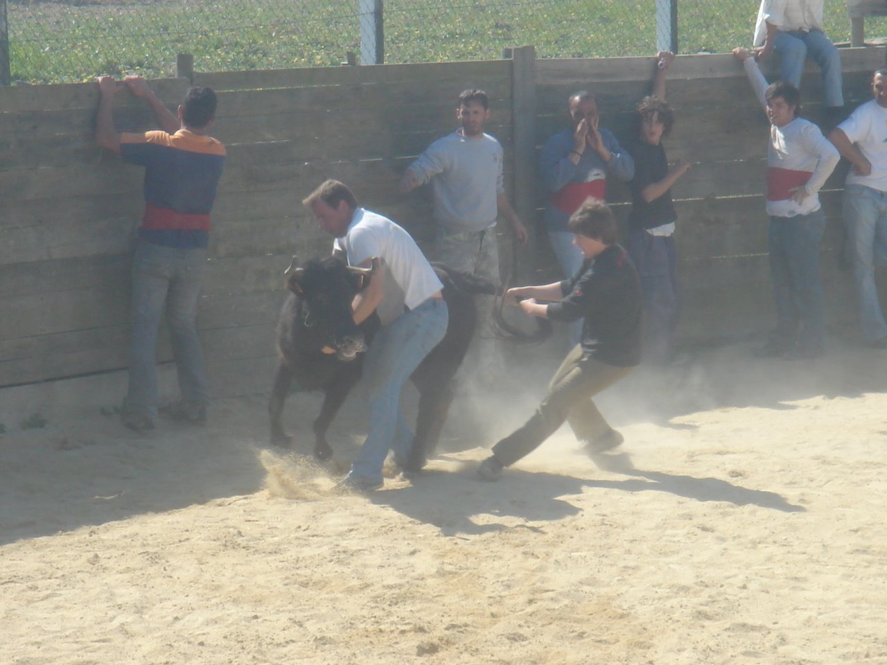 [DSC07902.JPG]
