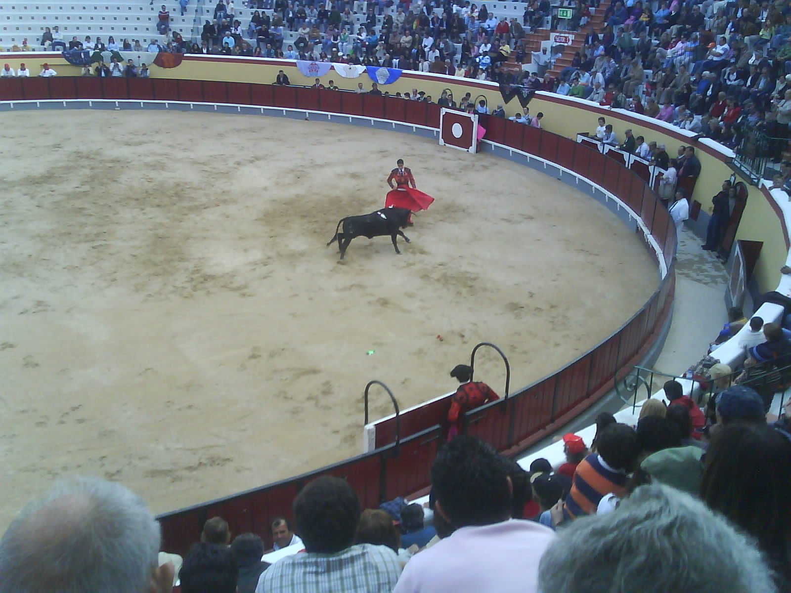 [DSC00525.JPG]
