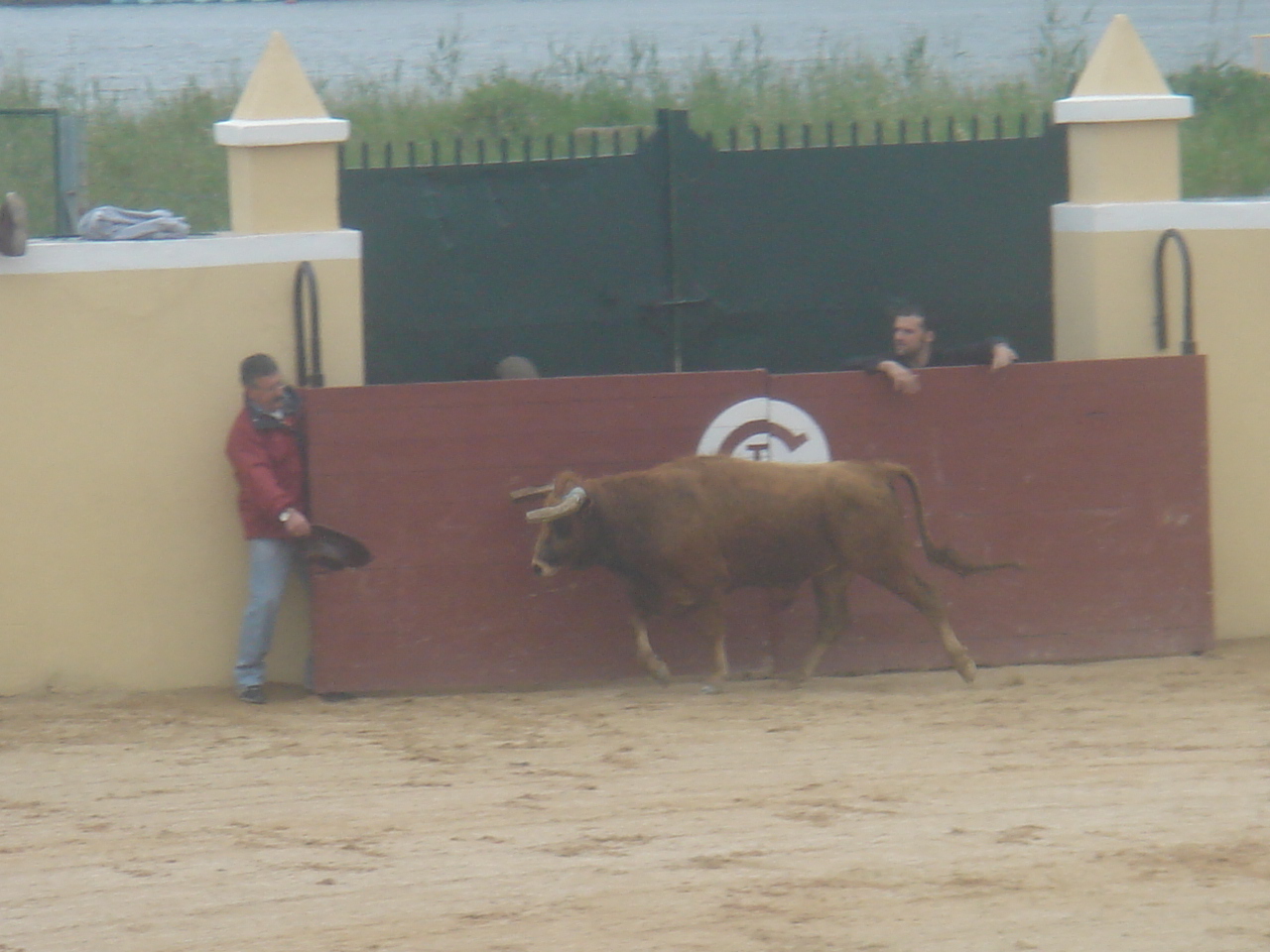 [DSC08521.JPG]