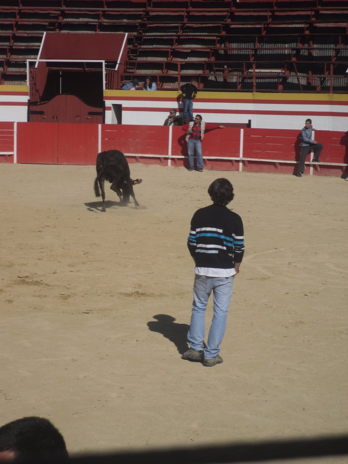 [SDC10975.JPG]