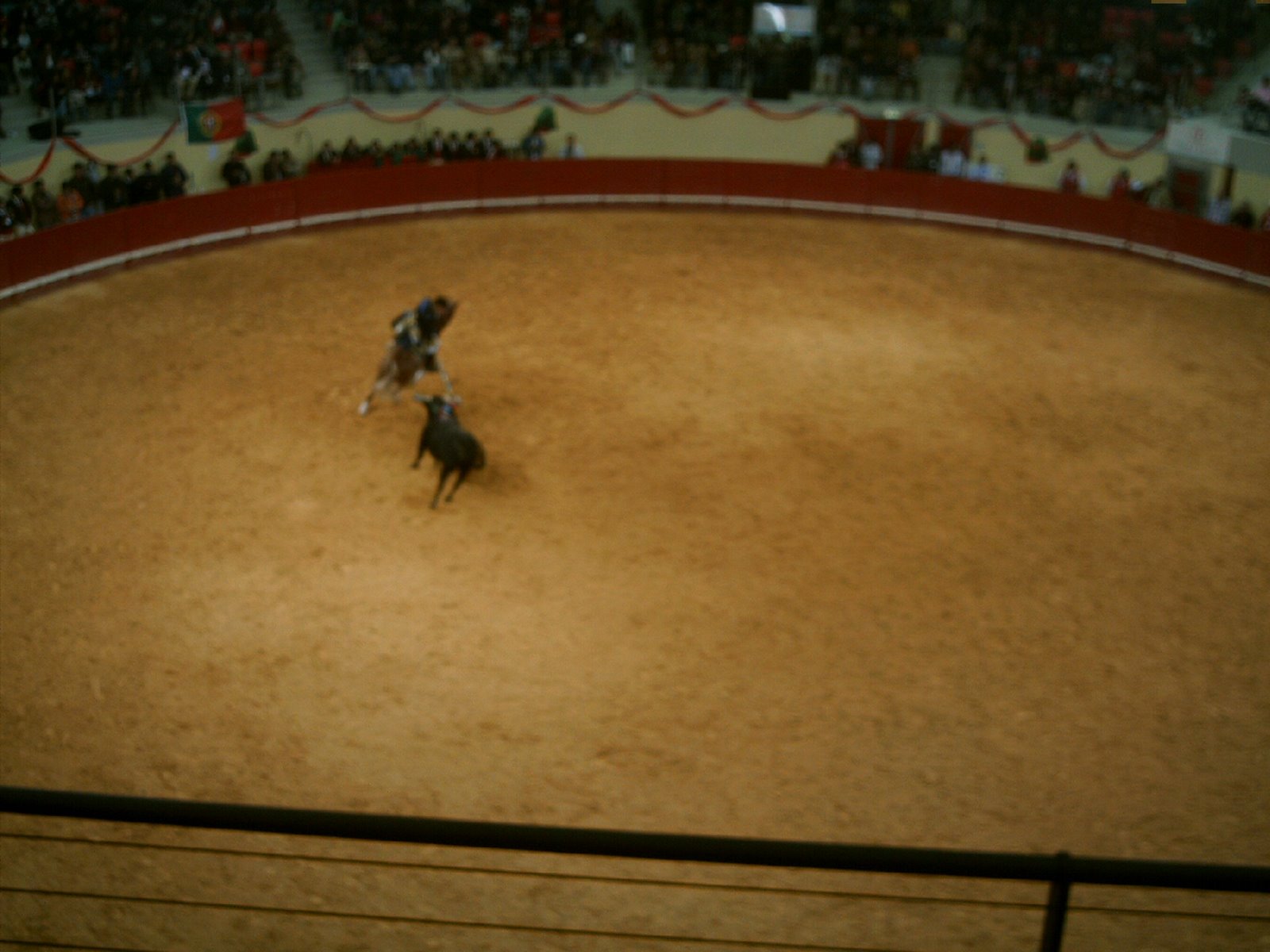 [IMAG0161.JPG]