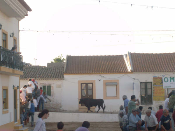 [HPIM2556.JPG]