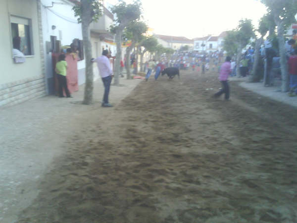 [DSC00614.JPG]