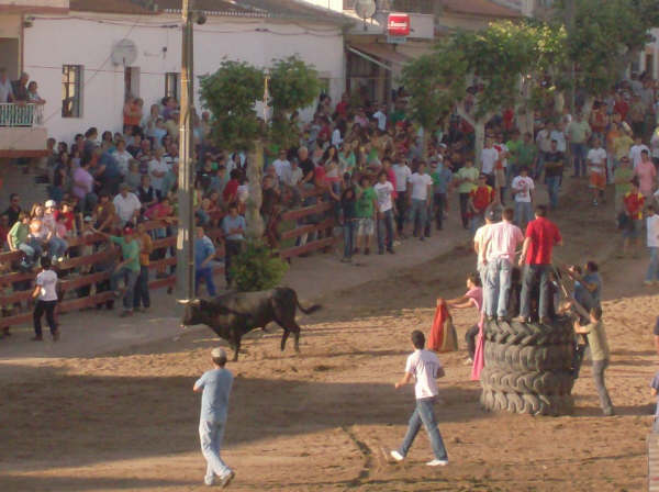 [HPIM2505.JPG]