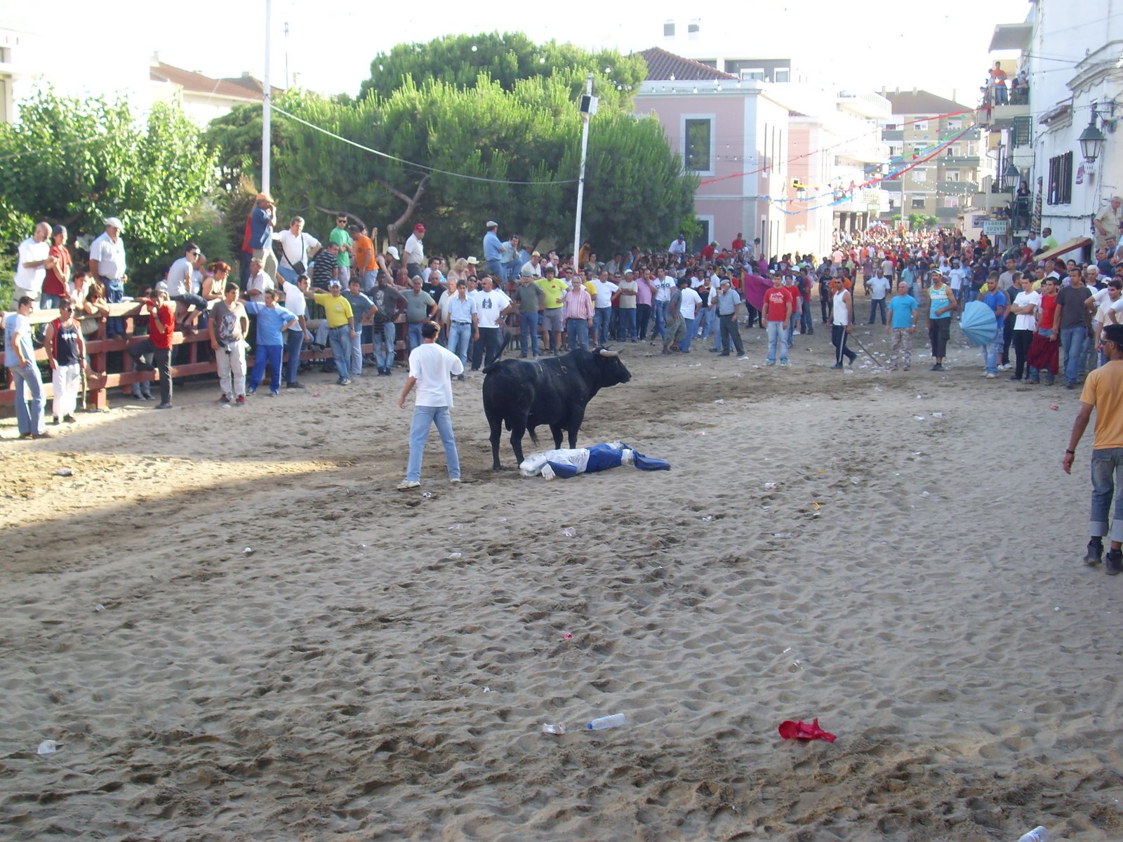 [IMG_0397.JPG]