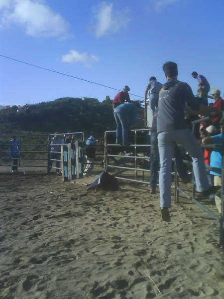 [DSC00742.JPG]