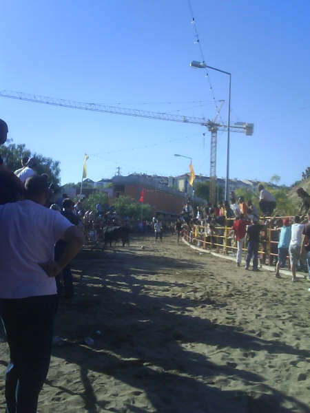 [DSC00809.JPG]