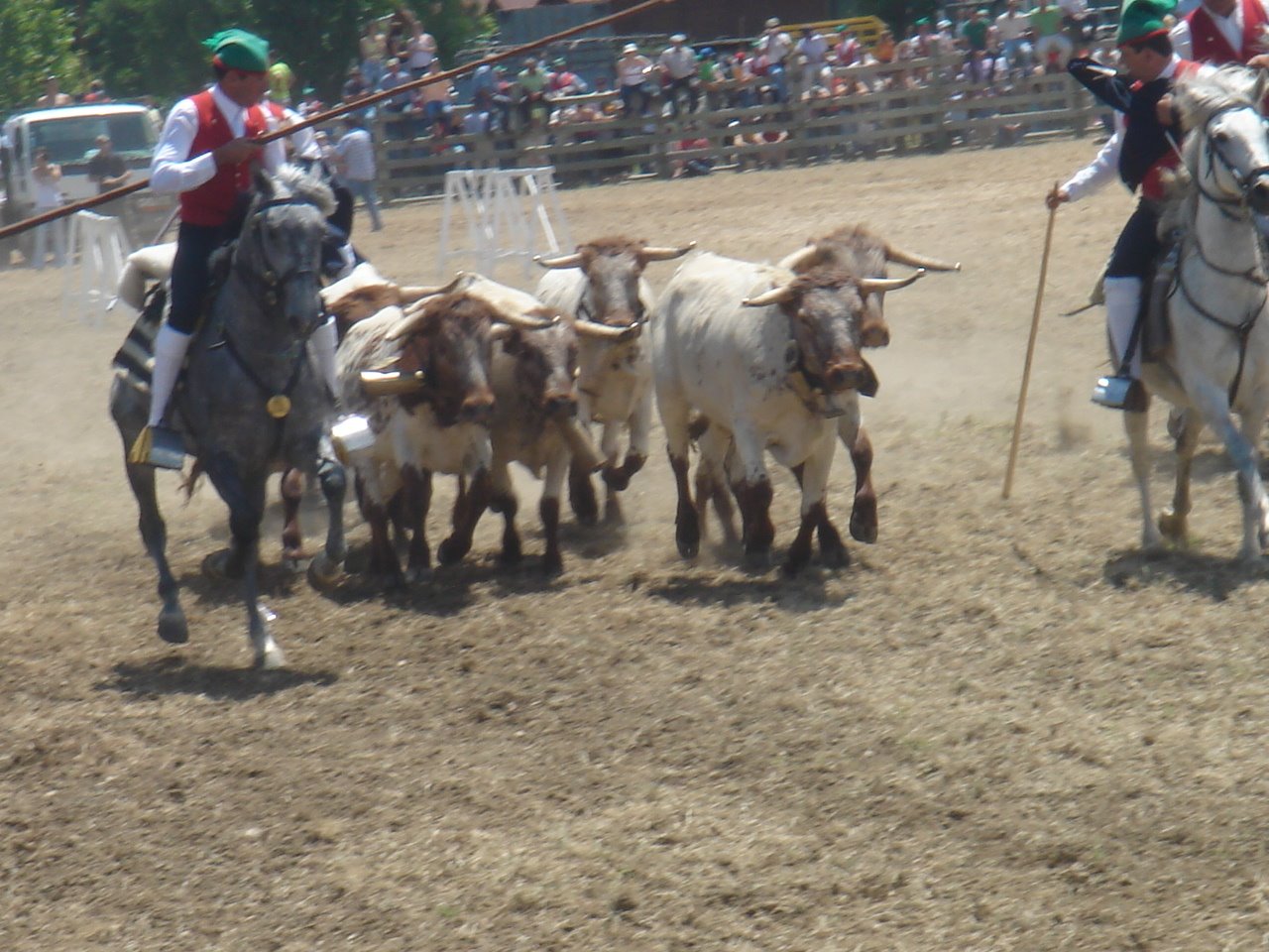 [DSC09143.JPG]