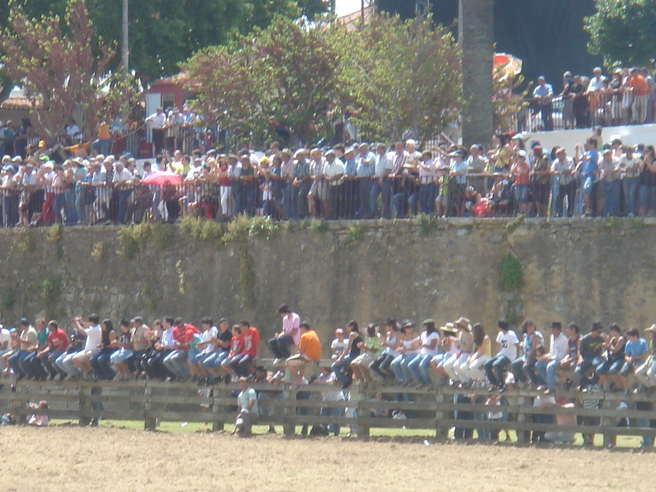 [DSC09115.JPG]