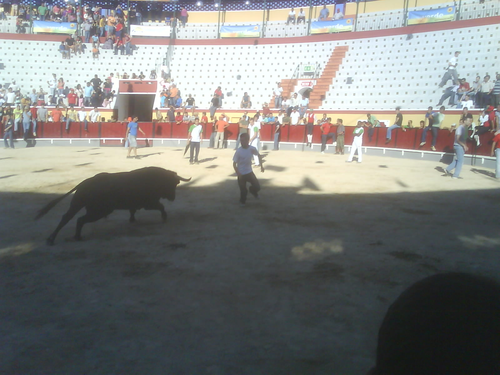 [DSC00953.JPG]