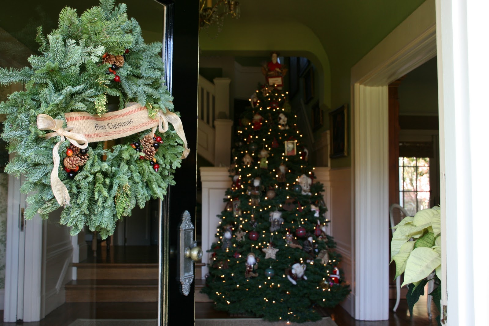 "Oh Christmas Trees, Oh Christmas Trees