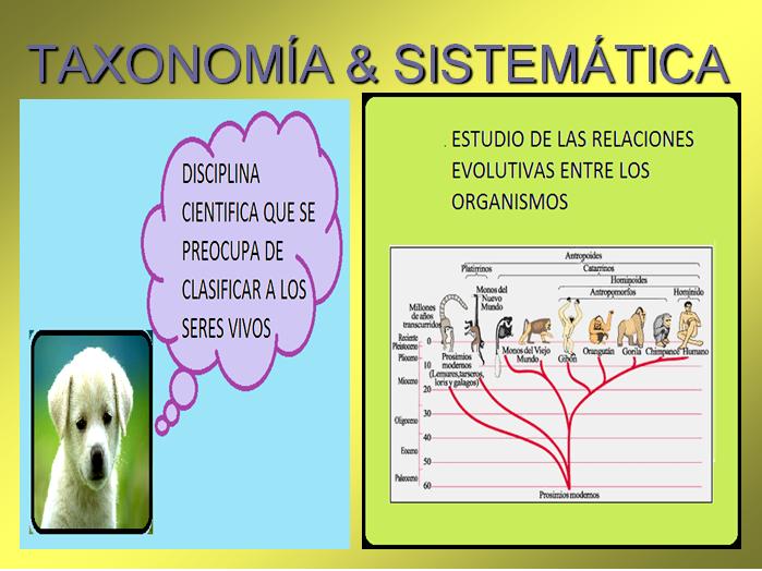 http slideshare net