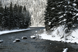 [snowy_gallatin.gif]