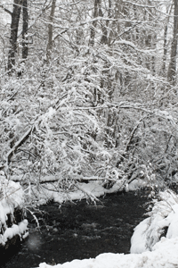 [snowy_creek.gif]
