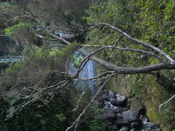 [madeira3.bmp]