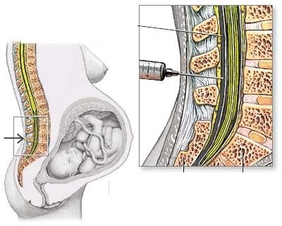 jinekoloji ve gebelik com