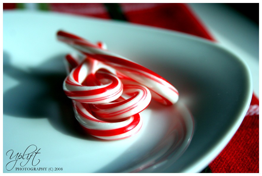 [IMG_5726_edit_LOGO.jpg]