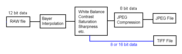 [Flowchart2.gif]