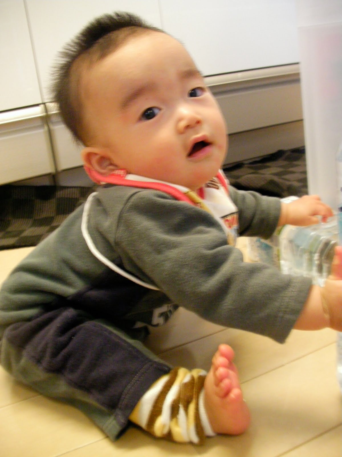 [SANY0044.JPG]