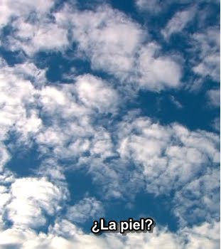 skies or skins.