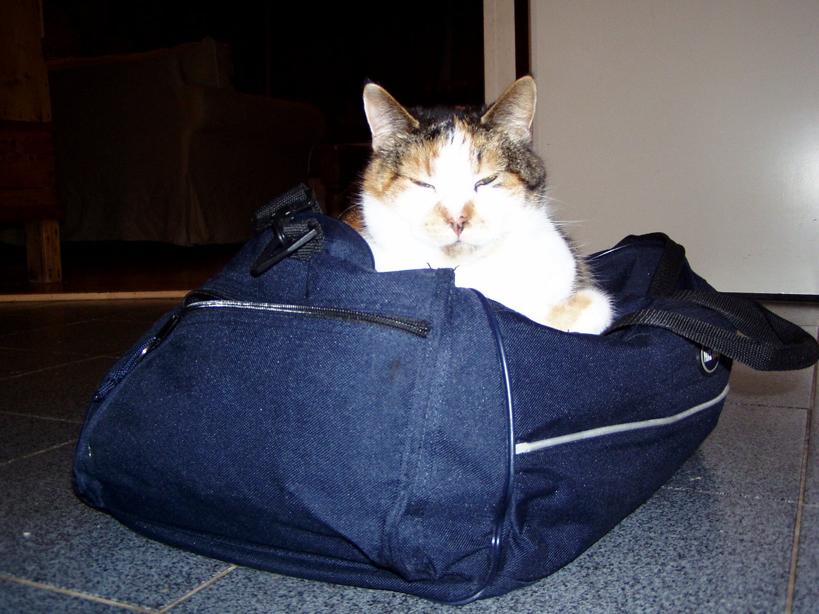 [P3080014.JPG]