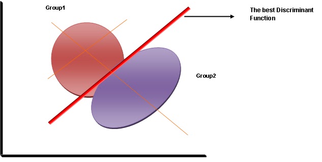 Discriminant Function