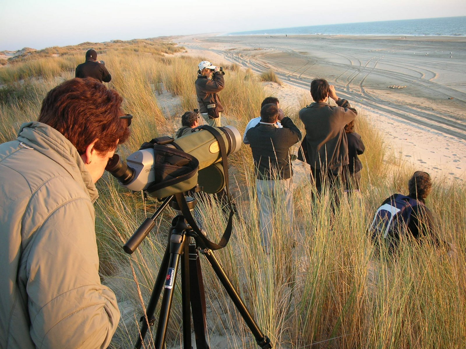 [07+Doñana2007-12-08_18-50-47.JPG]