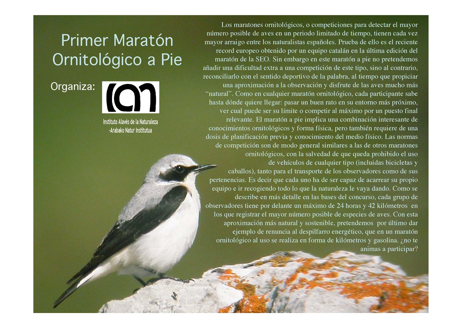 [PresentacionMaraton.jpg]