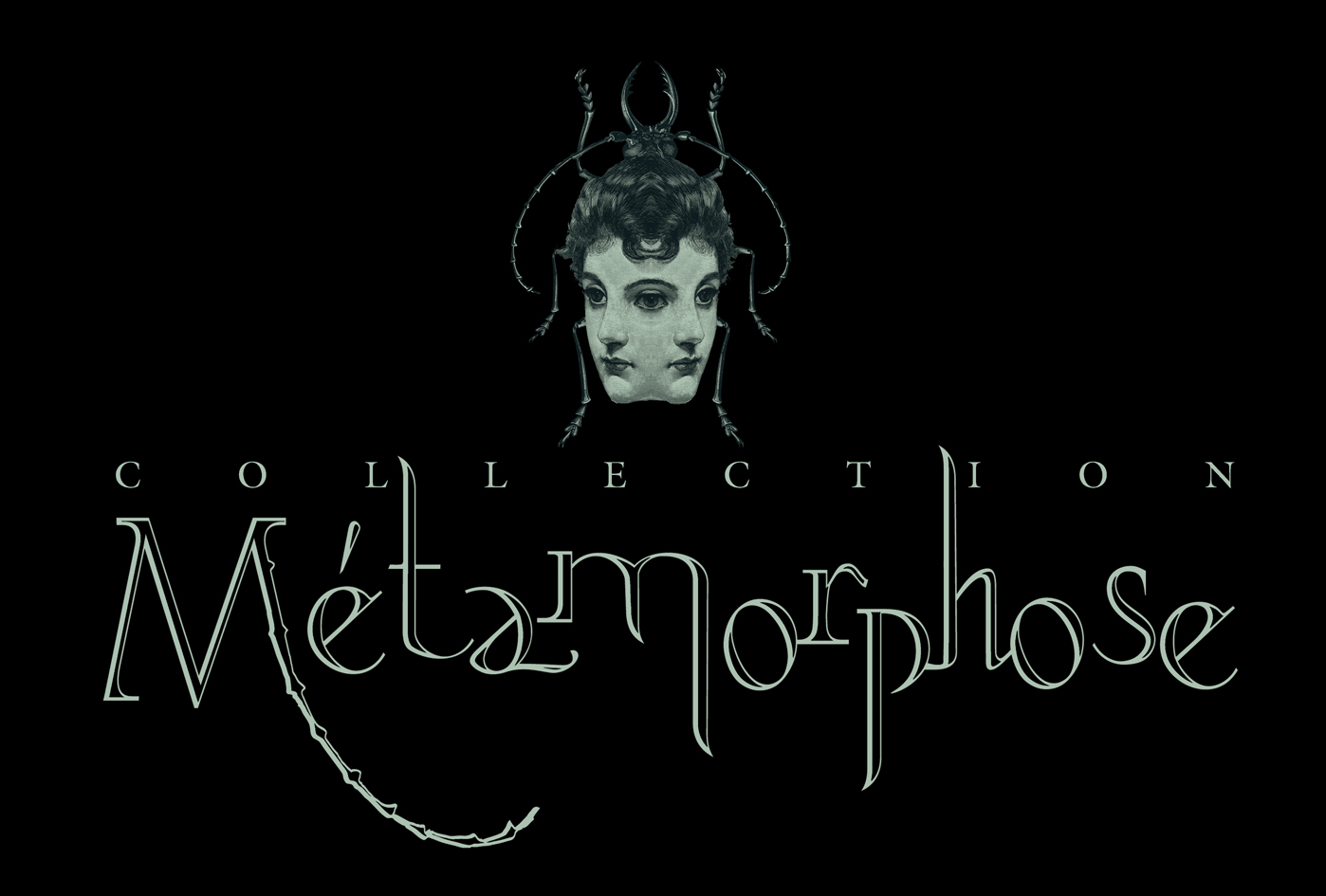 [META-LOGO1.jpg]