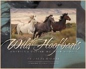 Wild Hoofbeats