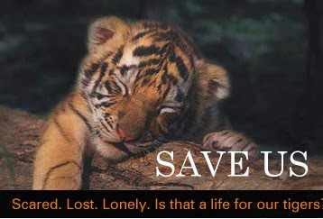 Save tiger india essay