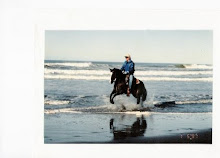 Ocean Beach in S.F.